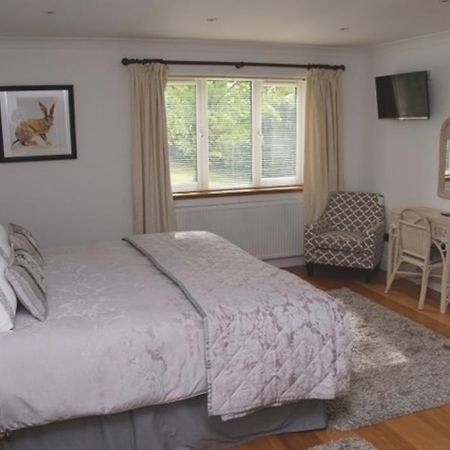 Cherry Tree Guesthouse Bradford-On-Avon Quarto foto